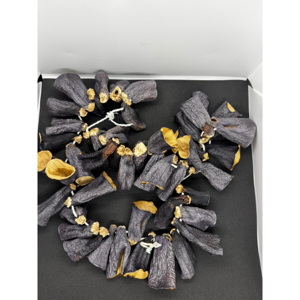 Kuru Patlıcan 1 Bağ 